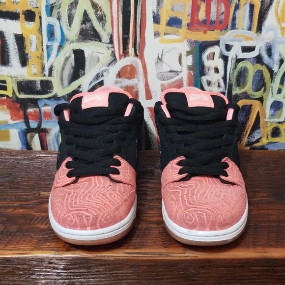 Nike sb (premier fish ladder) - Picture 2 of 6